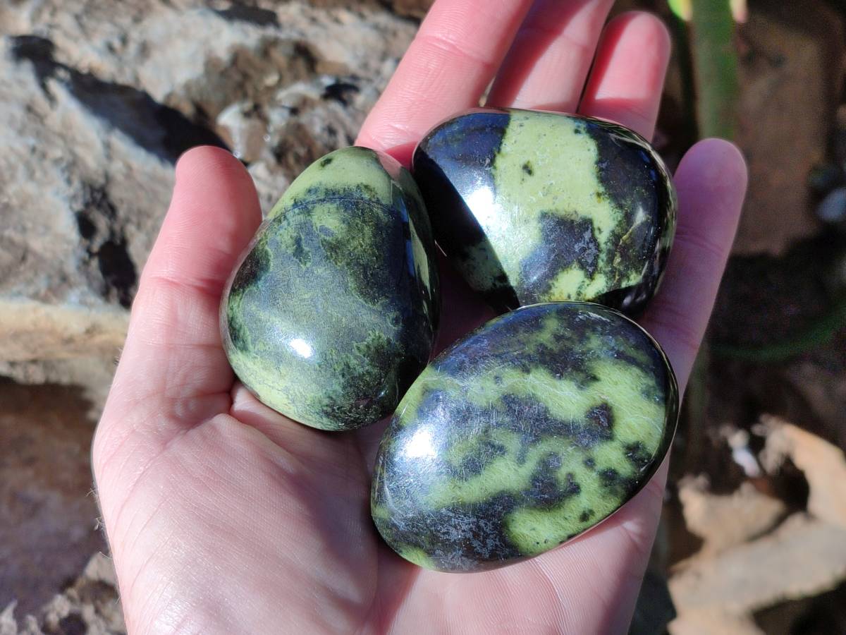 Polished Leopard Stone Free Forms x 12 From Nyanga, Zimbabwe - Toprock Gemstones and Minerals 