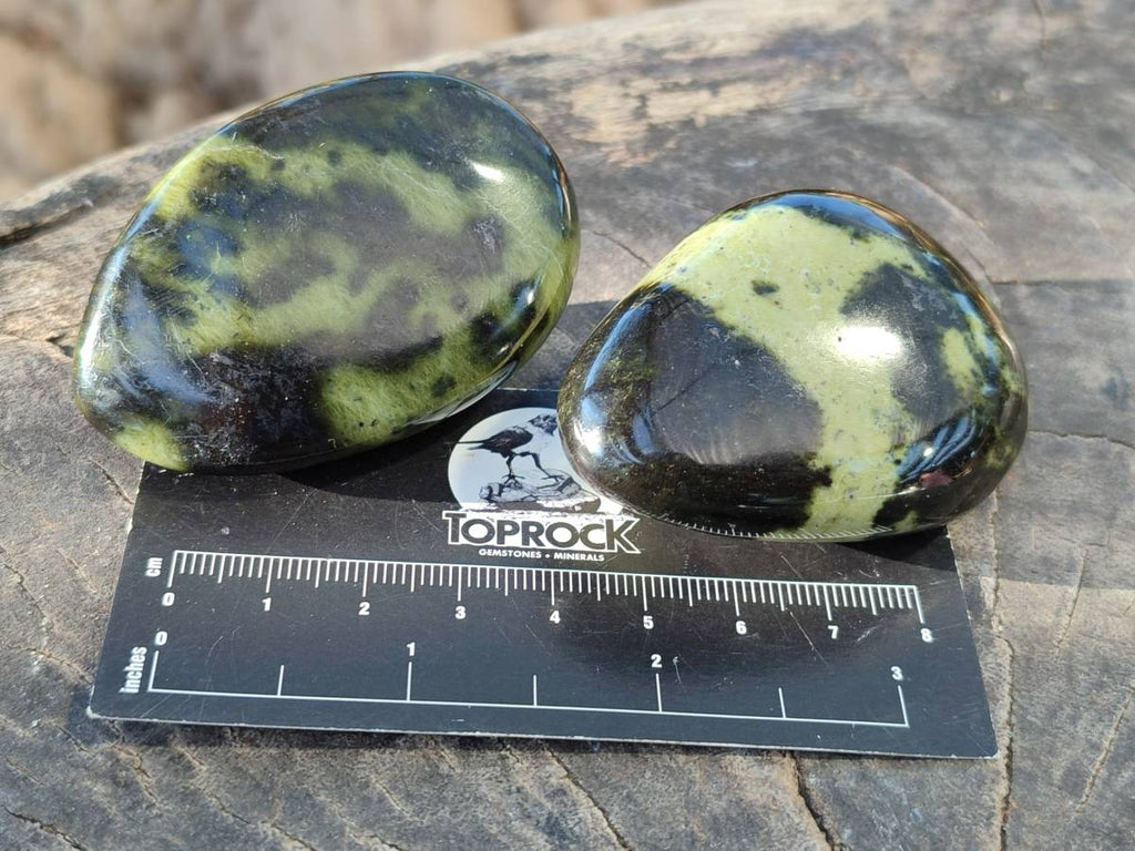 Polished Leopard Stone Free Forms x 12 From Nyanga, Zimbabwe - Toprock Gemstones and Minerals 