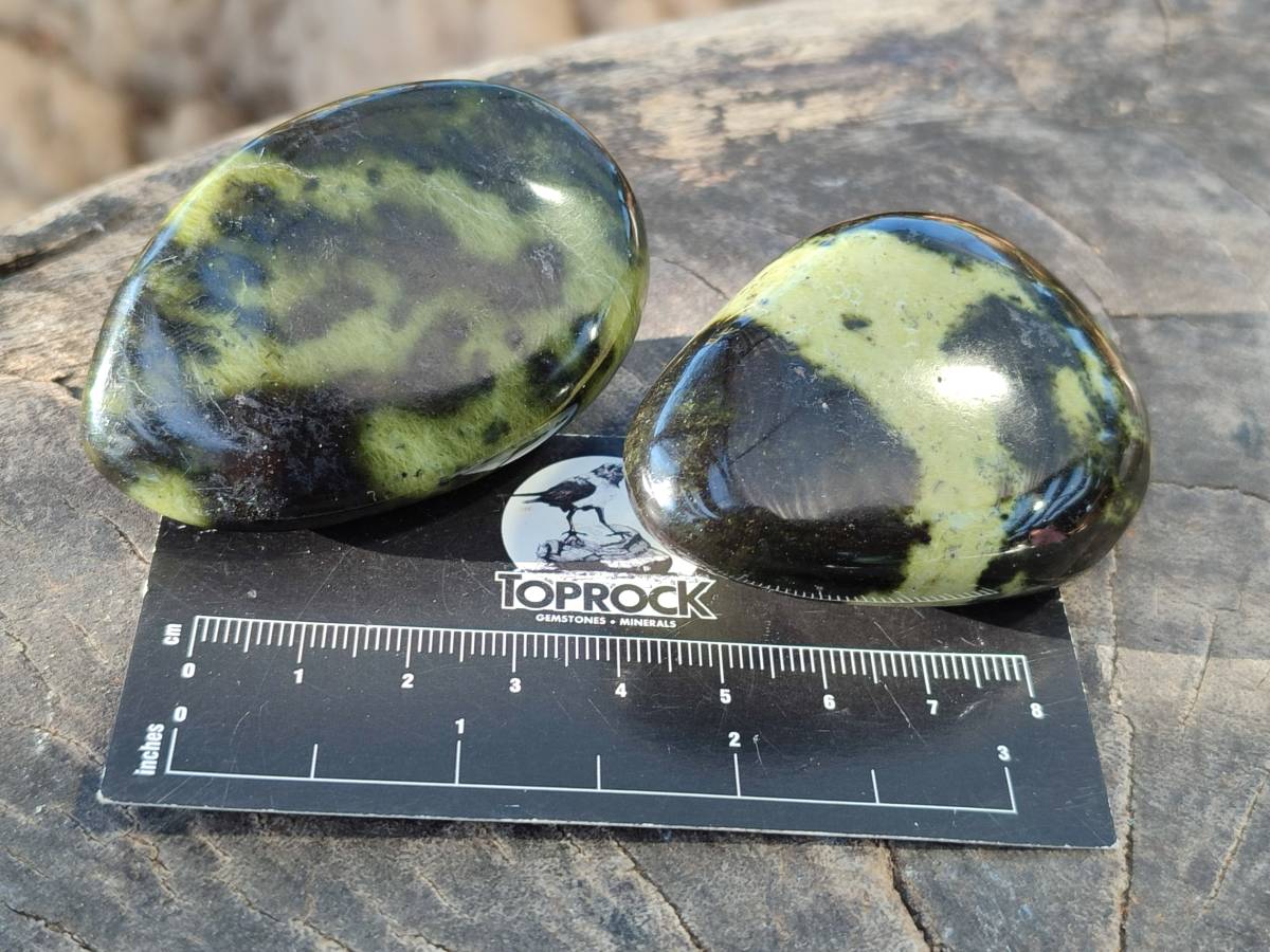 Polished Leopard Stone Free Forms x 12 From Nyanga, Zimbabwe - Toprock Gemstones and Minerals 
