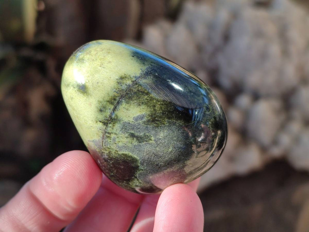 Polished Leopard Stone Free Forms x 12 From Nyanga, Zimbabwe - Toprock Gemstones and Minerals 