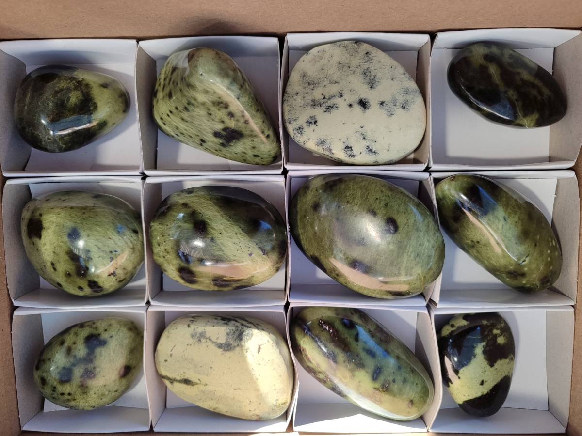 Polished Leopard Stone Free Forms x 12 From Nyanga, Zimbabwe - Toprock Gemstones and Minerals 