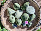 Polished Leopard Stone Free Forms x 12 From Nyanga, Zimbabwe - Toprock Gemstones and Minerals 