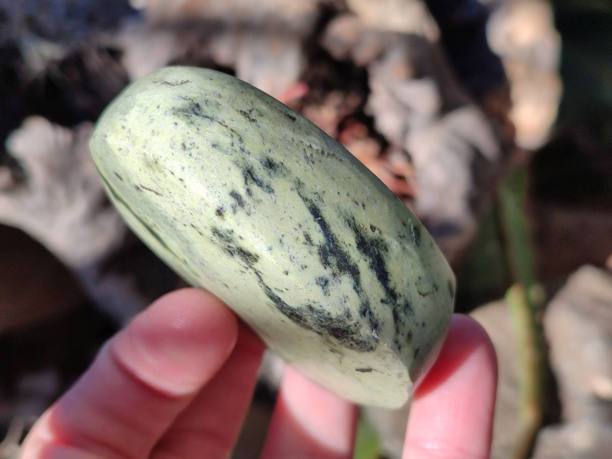 Polished Leopard Stone Free Forms x 12 From Nyanga, Zimbabwe - Toprock Gemstones and Minerals 