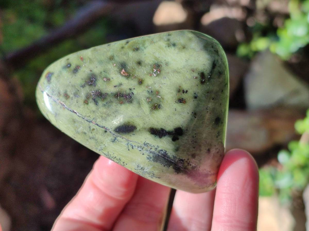 Polished Leopard Stone Free Forms x 12 From Nyanga, Zimbabwe - Toprock Gemstones and Minerals 