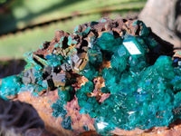 Natural Dioptase on Dolomite Matrix Specimens x 2 From Likasi, Congo