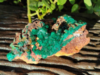 Natural Dioptase on Dolomite Matrix Specimens x 2 From Likasi, Congo