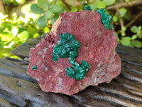 Natural Dioptase on Dolomite Matrix Specimens x 2 From Likasi, Congo