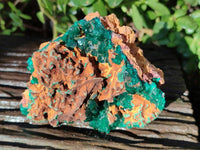 Natural Dioptase on Dolomite Matrix Specimens x 2 From Likasi, Congo