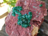 Natural Dioptase on Dolomite Matrix Specimens x 2 From Likasi, Congo
