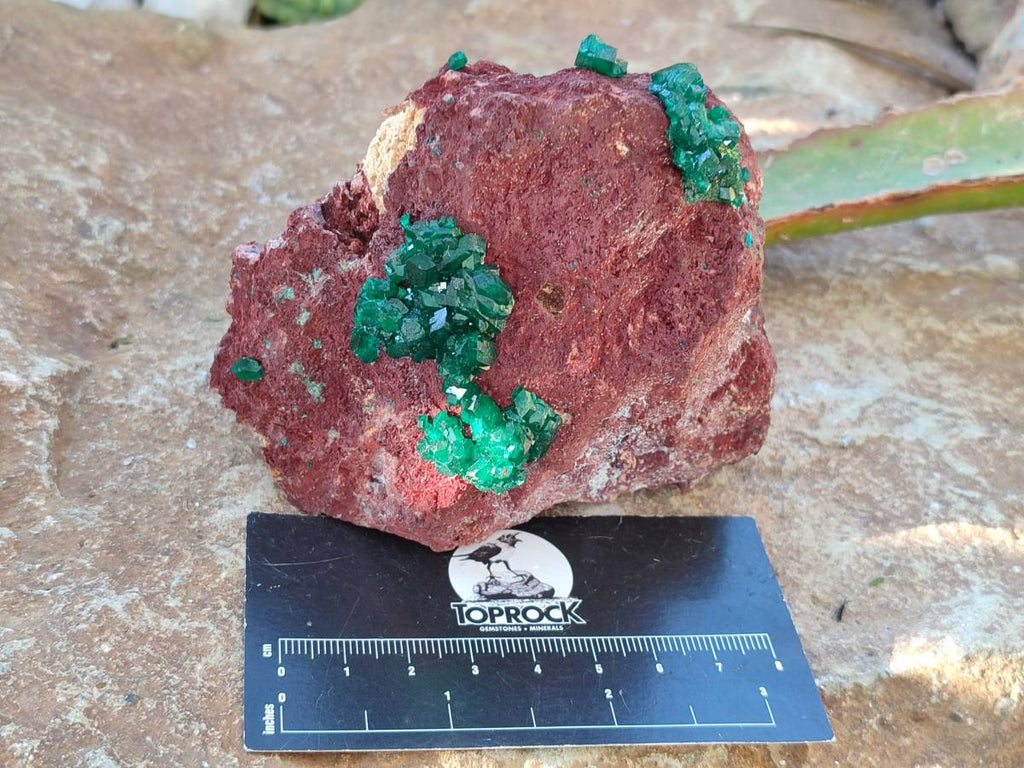 Natural Dioptase on Dolomite Matrix Specimens x 2 From Likasi, Congo - Toprock Gemstones and Minerals 