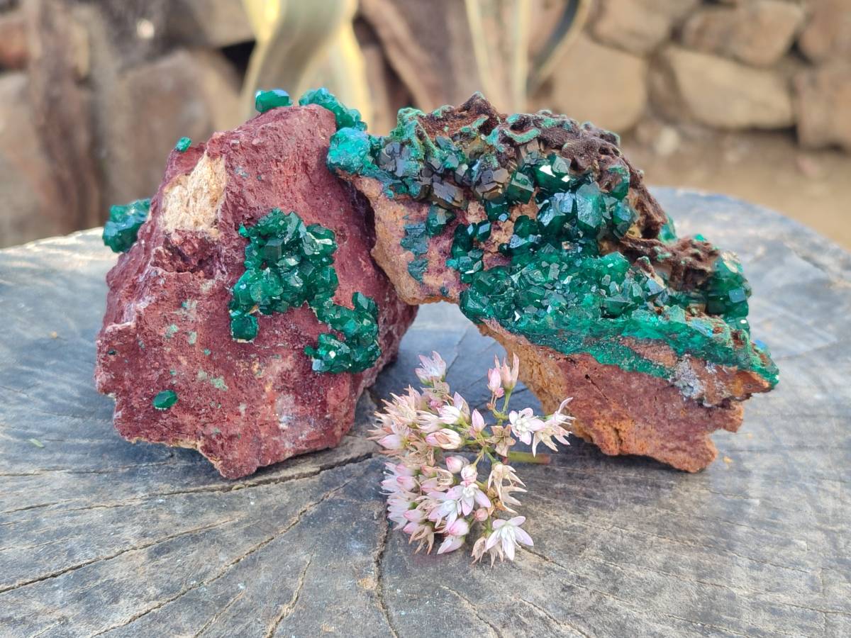 Natural Dioptase on Dolomite Matrix Specimens x 2 From Likasi, Congo - Toprock Gemstones and Minerals 