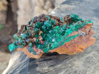 Natural Dioptase on Dolomite Matrix Specimens x 2 From Likasi, Congo