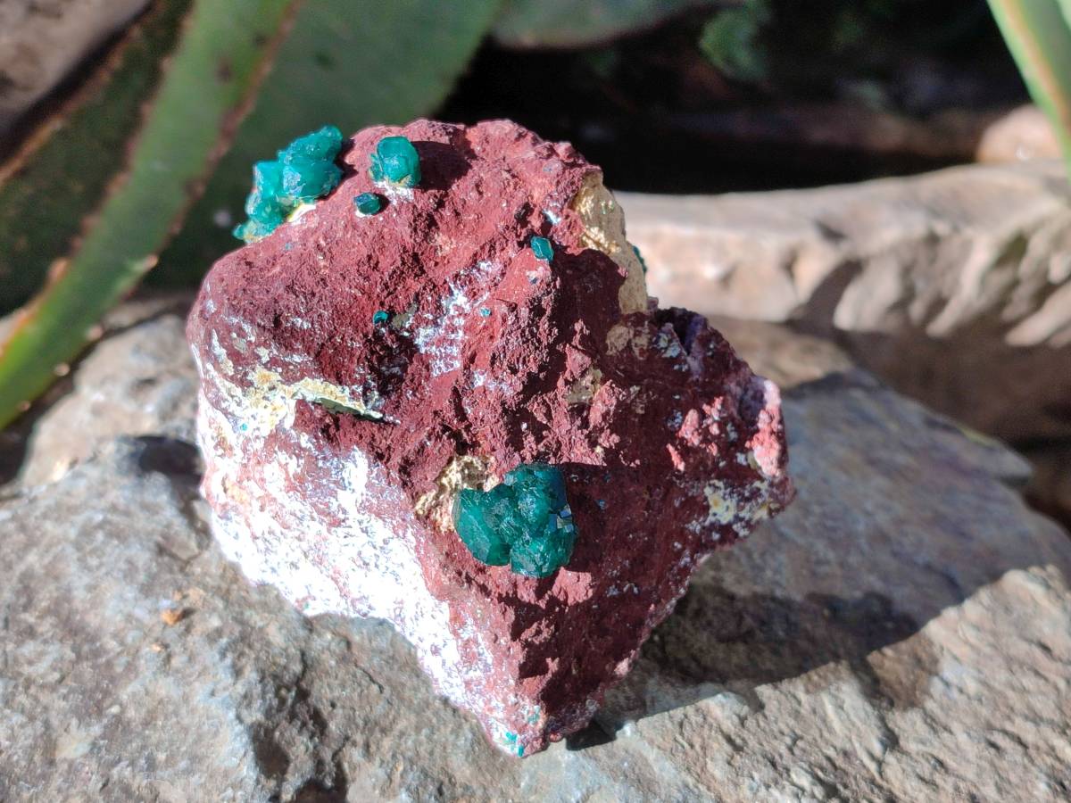 Natural Dioptase on Dolomite Matrix Specimens x 2 From Likasi, Congo - Toprock Gemstones and Minerals 