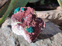 Natural Dioptase on Dolomite Matrix Specimens x 2 From Likasi, Congo