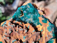 Natural Dioptase on Dolomite Matrix Specimens x 2 From Likasi, Congo