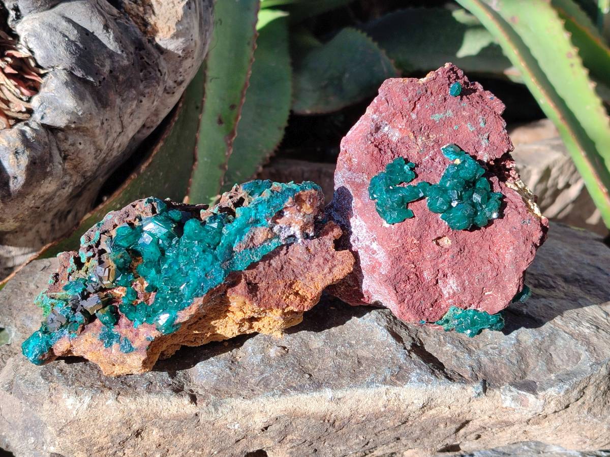 Natural Dioptase on Dolomite Matrix Specimens x 2 From Likasi, Congo - Toprock Gemstones and Minerals 