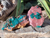 Natural Dioptase on Dolomite Matrix Specimens x 2 From Likasi, Congo
