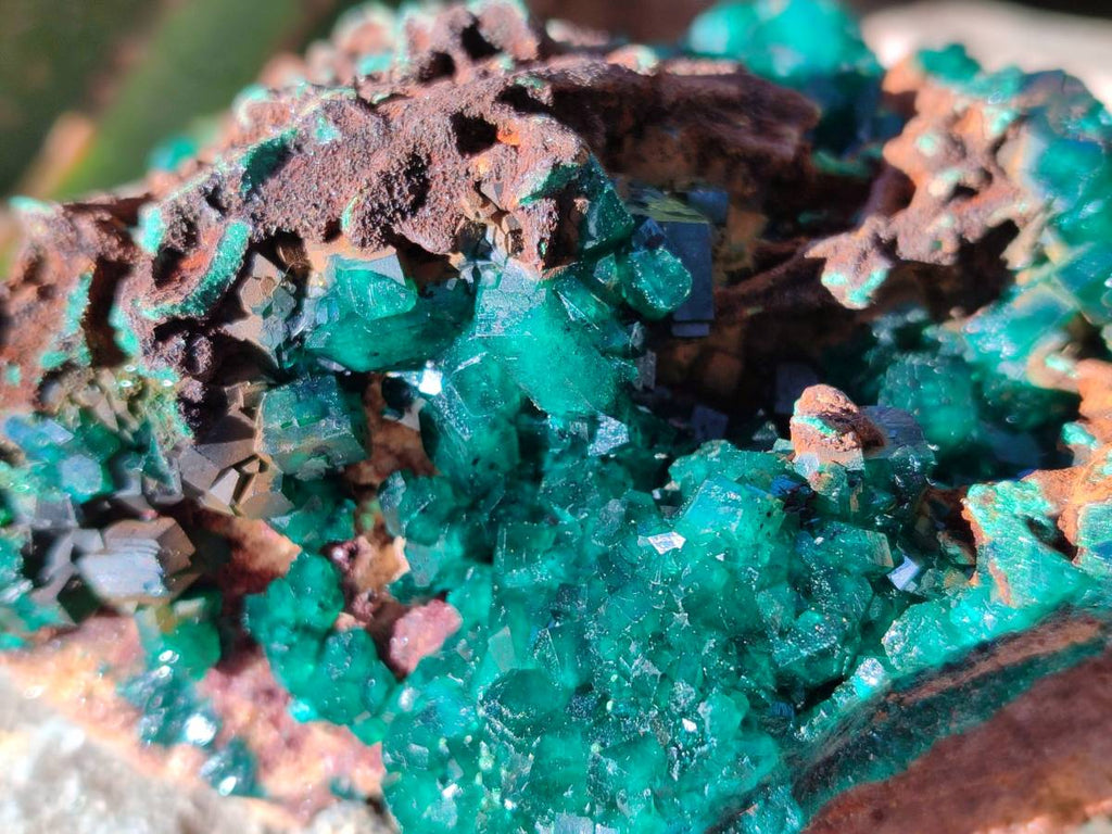 Natural Dioptase on Dolomite Matrix Specimens x 2 From Likasi, Congo - Toprock Gemstones and Minerals 
