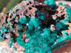 Natural Dioptase on Dolomite Matrix Specimens x 2 From Likasi, Congo - Toprock Gemstones and Minerals 
