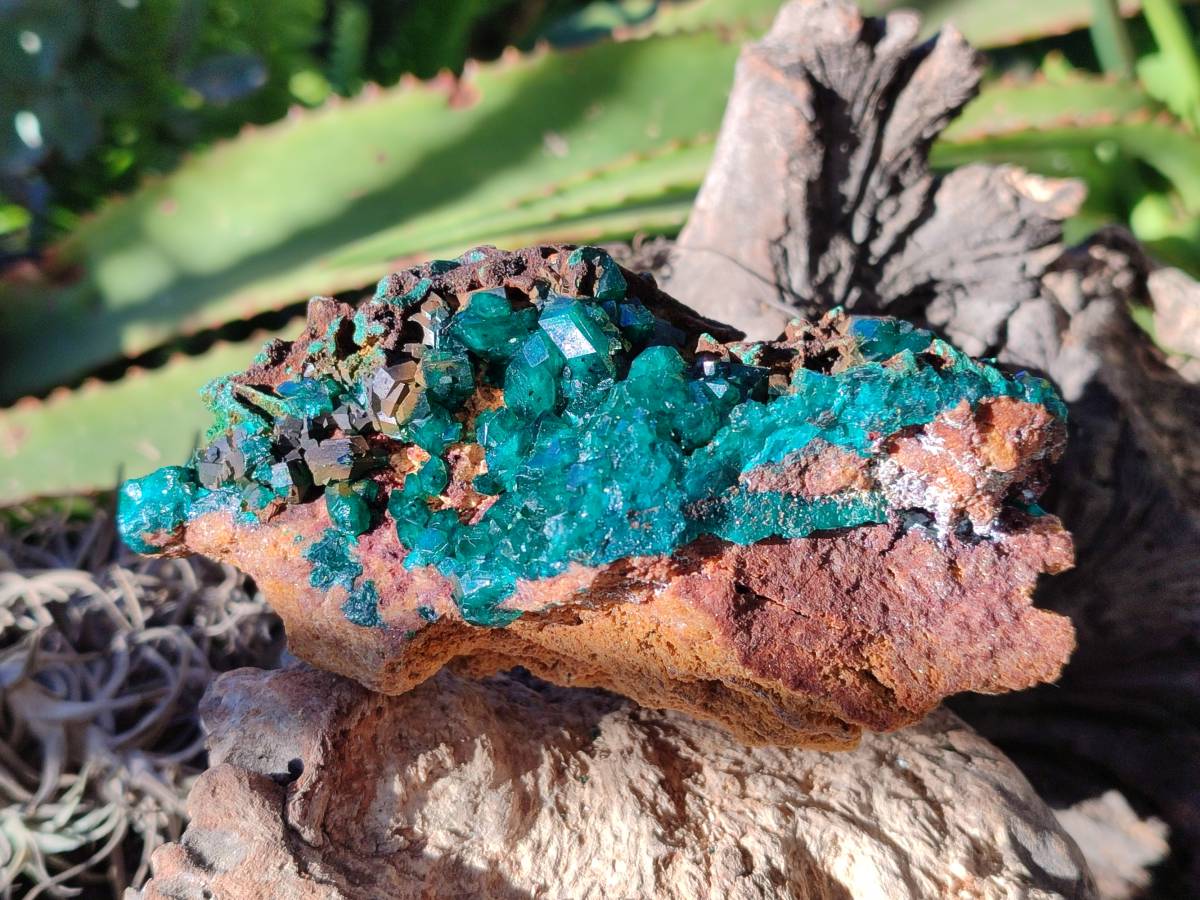 Natural Dioptase on Dolomite Matrix Specimens x 2 From Likasi, Congo - Toprock Gemstones and Minerals 