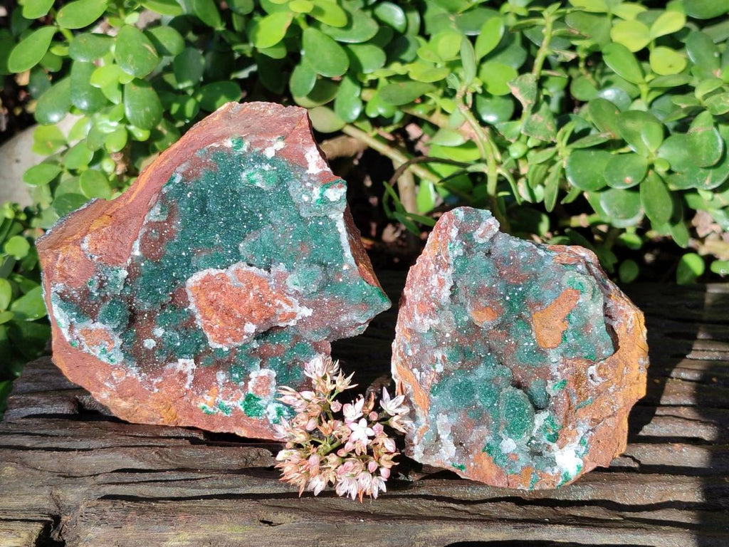 Natural Ball Malachite On Dolomite Matrix Specimens x 2 From Kambove, Congo - Toprock Gemstones and Minerals 