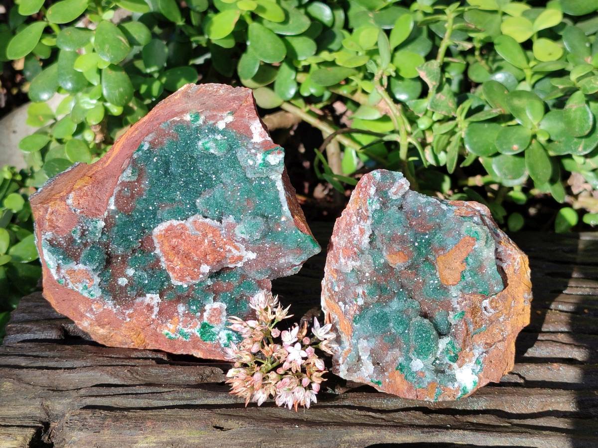 Natural Ball Malachite On Dolomite Matrix Specimens x 2 From Kambove, Congo - Toprock Gemstones and Minerals 
