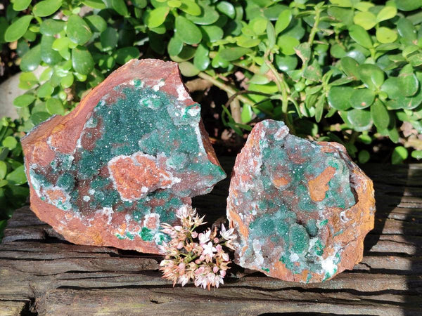 Natural Ball Malachite On Dolomite Matrix Specimens x 2 From Kambove, Congo