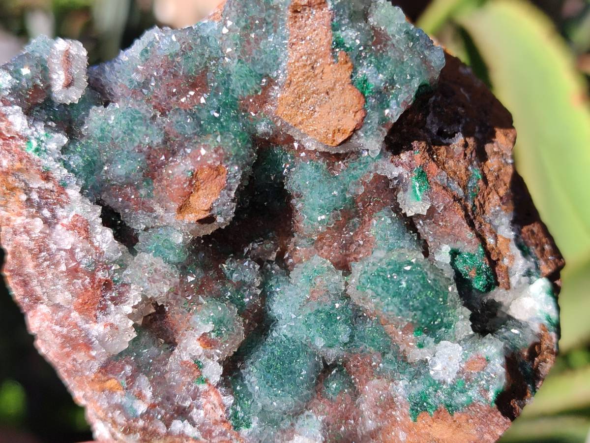 Natural Ball Malachite On Dolomite Matrix Specimens x 2 From Kambove, Congo - Toprock Gemstones and Minerals 