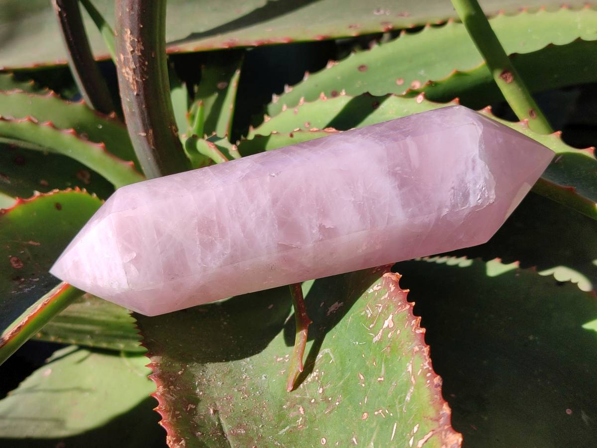 Polished Double Terminated Rose Quartz Points x 6 Madagascar - Toprock Gemstones and Minerals 