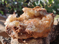 Natural Golden Limonite Quartz Specimens x 3 From Zambia