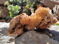 Natural Golden Limonite Quartz Specimens x 3 From Zambia