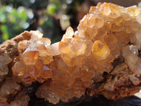 Natural Golden Limonite Quartz Specimens x 3 From Zambia