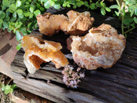 Natural Golden Limonite Quartz Specimens x 3 From Zambia