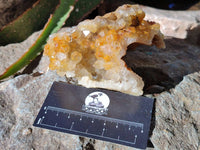 Natural Golden Limonite Quartz Specimens x 3 From Zambia