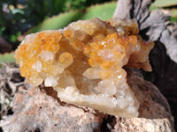 Natural Golden Limonite Quartz Specimens x 3 From Zambia