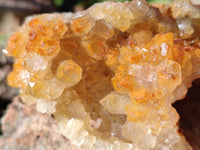 Natural Golden Limonite Quartz Specimens x 3 From Zambia