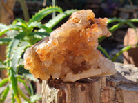 Natural Golden Limonite Quartz Specimens x 3 From Zambia