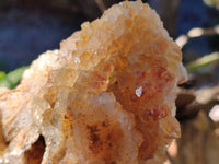 Natural Golden Limonite Quartz Specimens x 3 From Zambia