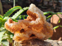 Natural Golden Limonite Quartz Specimens x 3 From Zambia