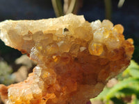 Natural Golden Limonite Quartz Specimens x 3 From Zambia