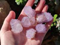 Natural Amethyst Spirit Quartz Crystals x 40 From Boekenhouthoek, South Africa