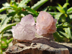 Natural Amethyst Spirit Quartz Crystals x 40 From Boekenhouthoek, South Africa - Toprock Gemstones and Minerals 
