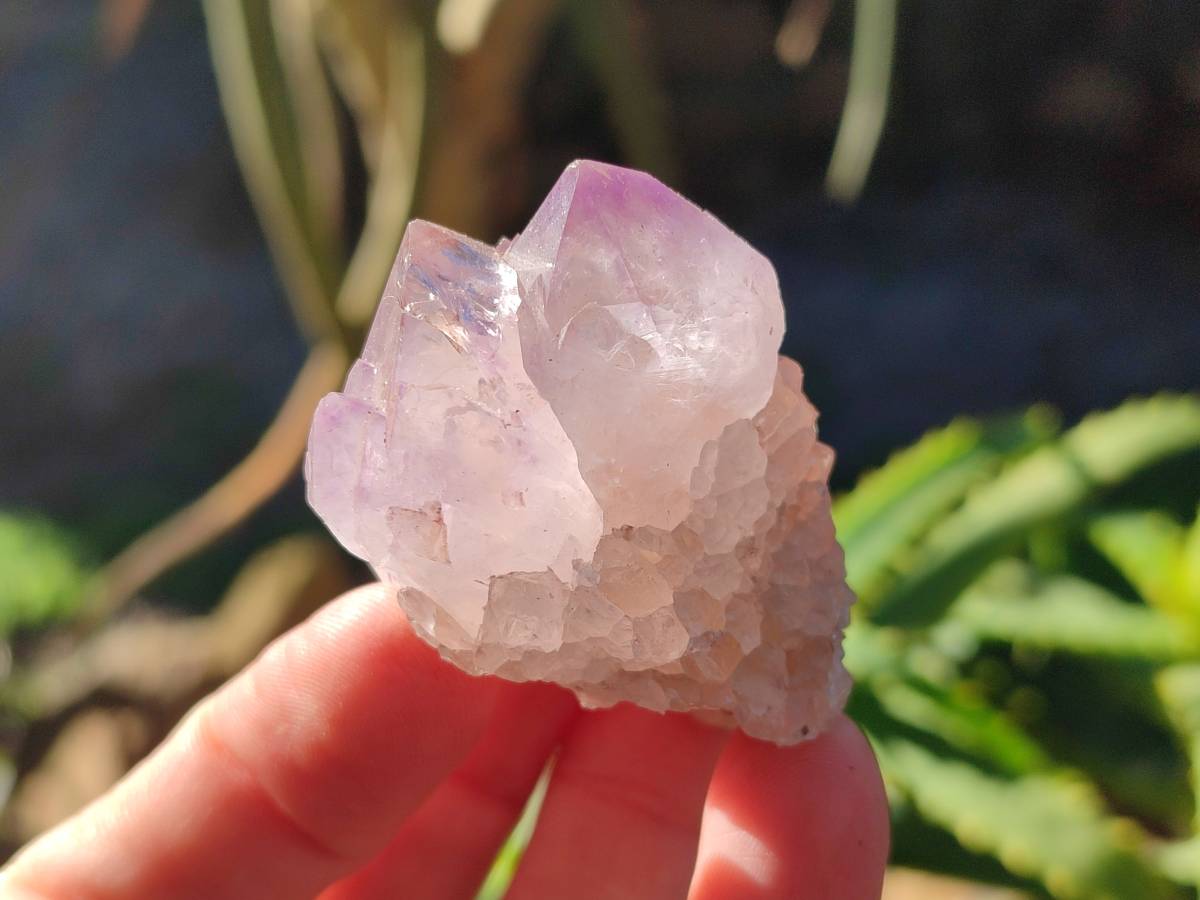 Natural Amethyst Spirit Quartz Crystals x 40 From Boekenhouthoek, South Africa - Toprock Gemstones and Minerals 