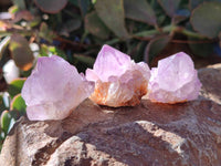 Natural Amethyst Spirit Quartz Crystals x 40 From Boekenhouthoek, South Africa