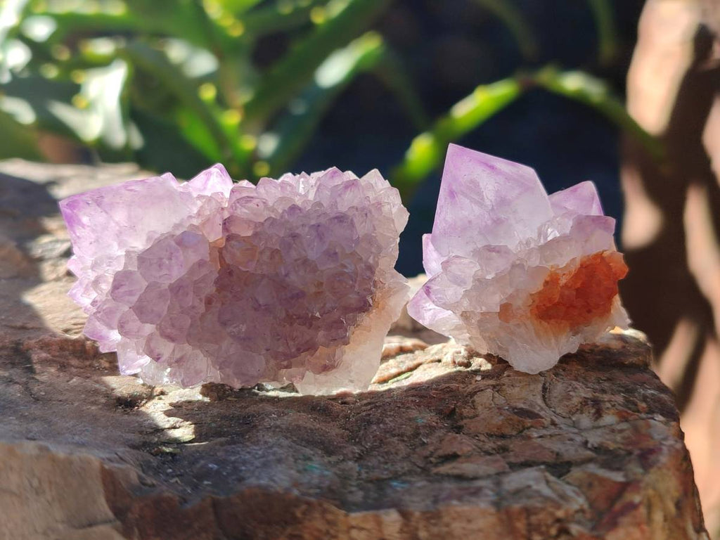 Natural Amethyst Spirit Quartz Crystals x 40 From Boekenhouthoek, South Africa - Toprock Gemstones and Minerals 