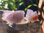Natural Amethyst Spirit Quartz Crystals x 40 From Boekenhouthoek, South Africa - Toprock Gemstones and Minerals 