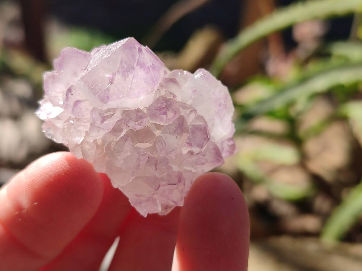 Natural Amethyst Spirit Quartz Crystals x 40 From Boekenhouthoek, South Africa - Toprock Gemstones and Minerals 