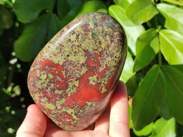 Polished Bastite Dragons Blood Standing Free Forms x 2 From Tshipise, South Africa