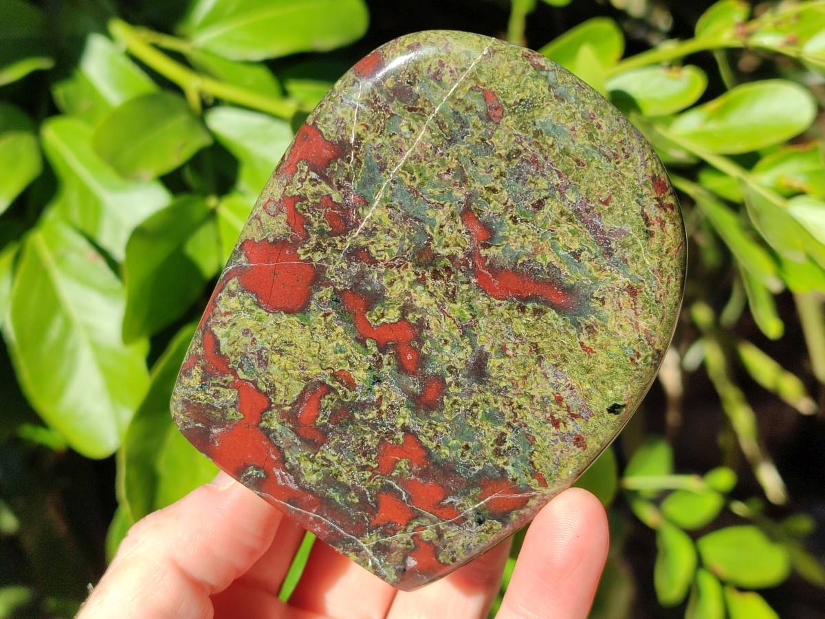 Polished Bastite Dragons Blood Standing Free Forms x 2 From Tshipise, South Africa - Toprock Gemstones and Minerals 