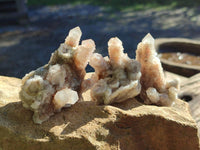 Natural Golden Limonite Fairy Spirit Quartz Clusters x 35 From Boekenhouthoek, South Africa